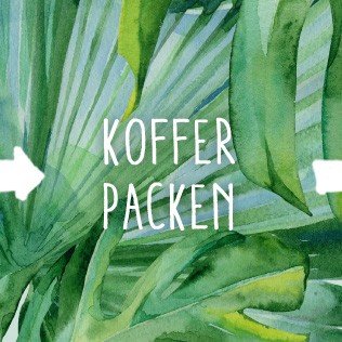 Blatt, Pflanze, Pflanzenwuchs, Essen, Produzieren, Dschungel, Natur, Draußen