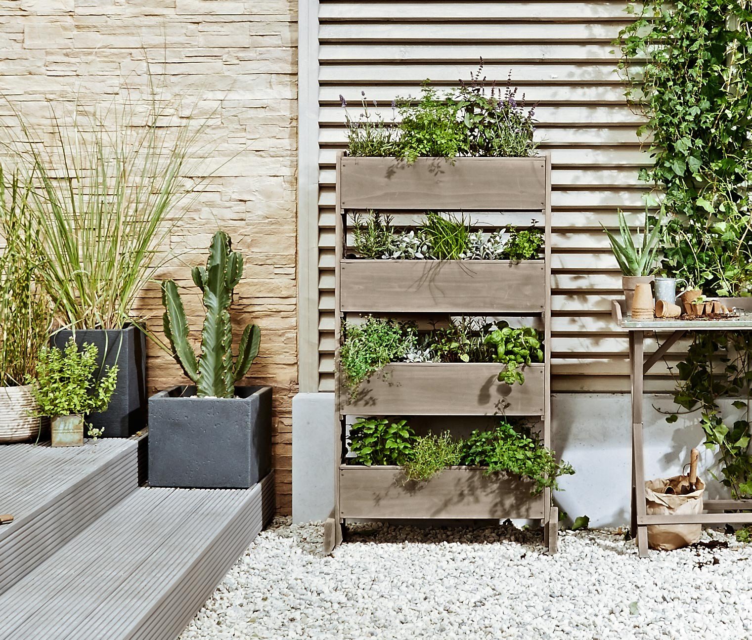 Drinnen, Innenarchitektur, Pflanze, Topfpflanze, Krug, Pflanzgefäß, Töpferei, Vase, Moebel, Hinterhof