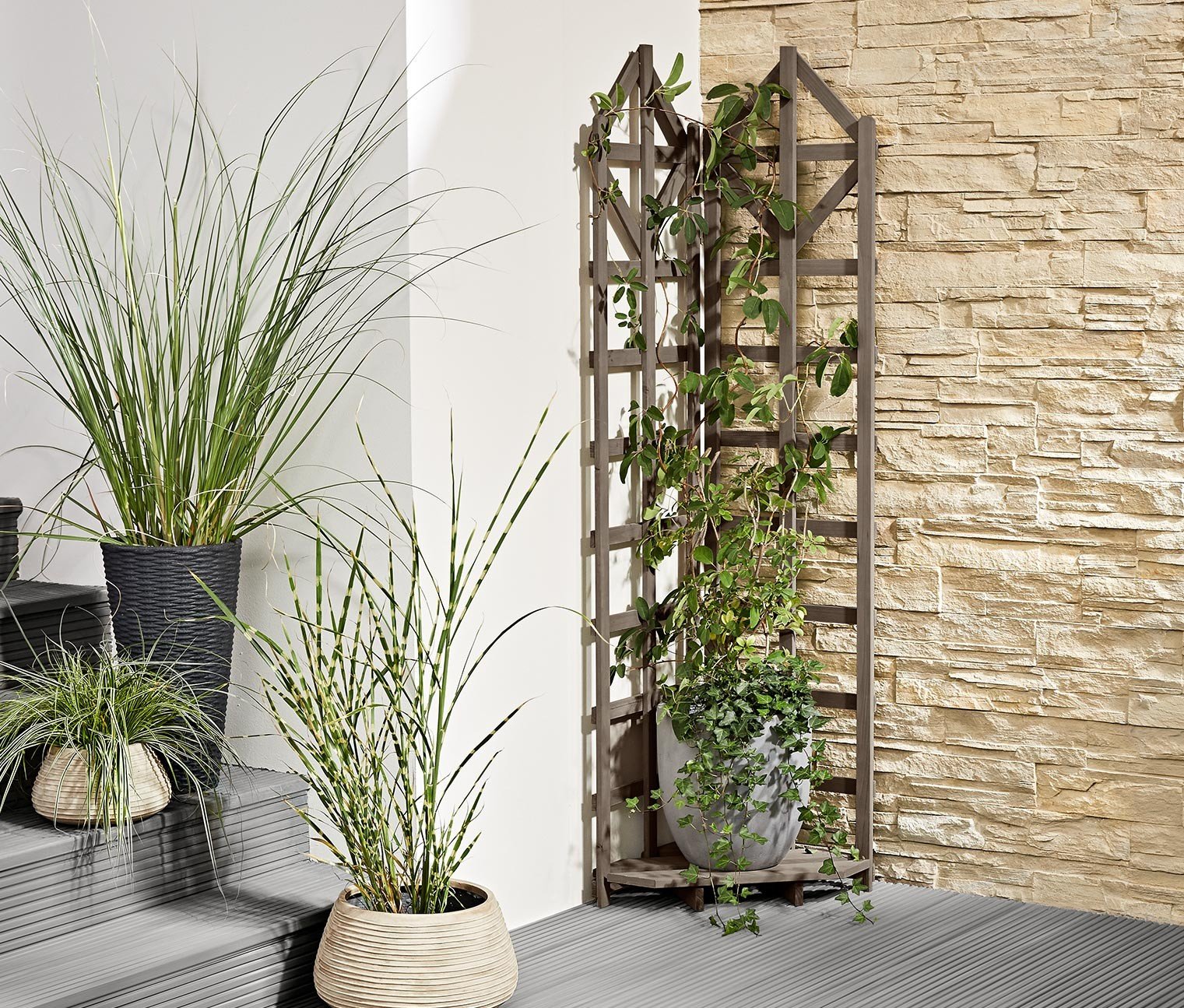 Pflanze, Topfpflanze, Drinnen, Innenarchitektur, Krug, Pflanzgefäß, Töpferei, Vase