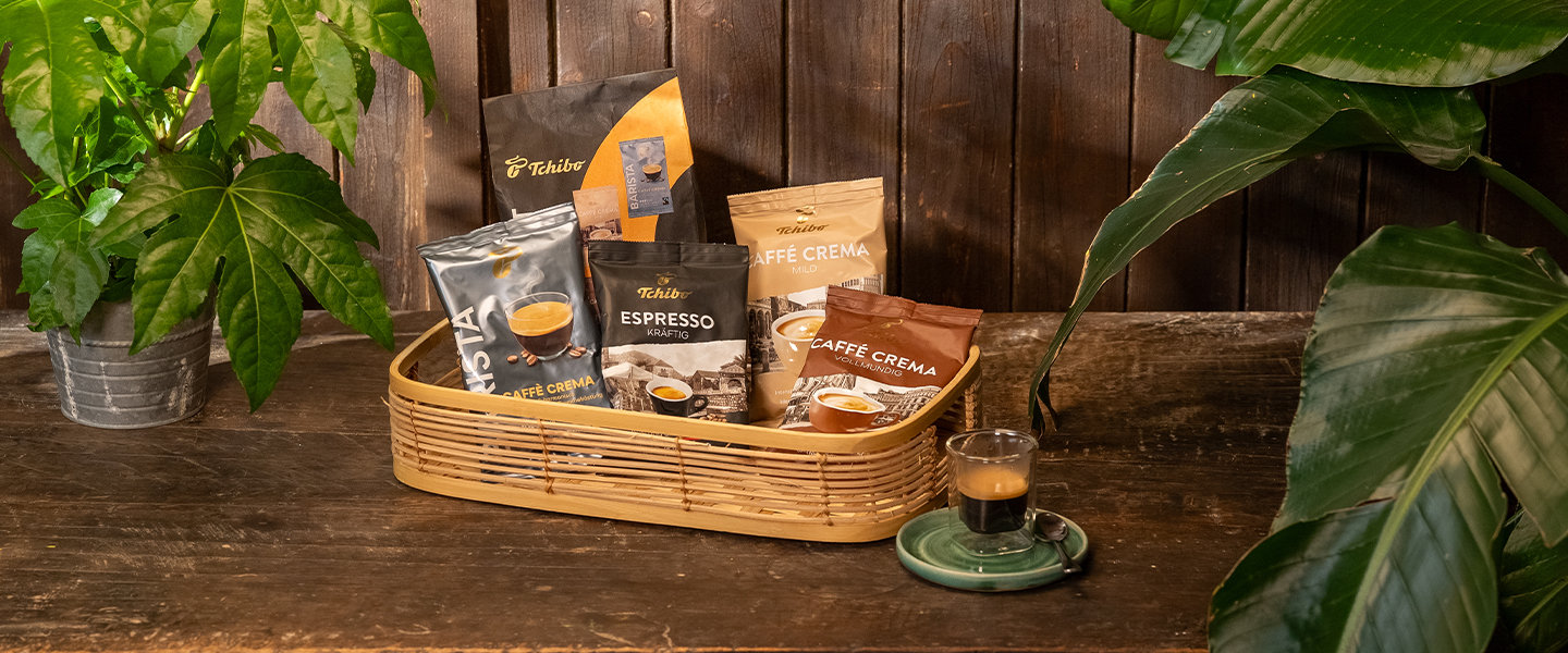 Lustig, Pflanze, Freizeitaktivitäten, Picknick, Picknick-Korb