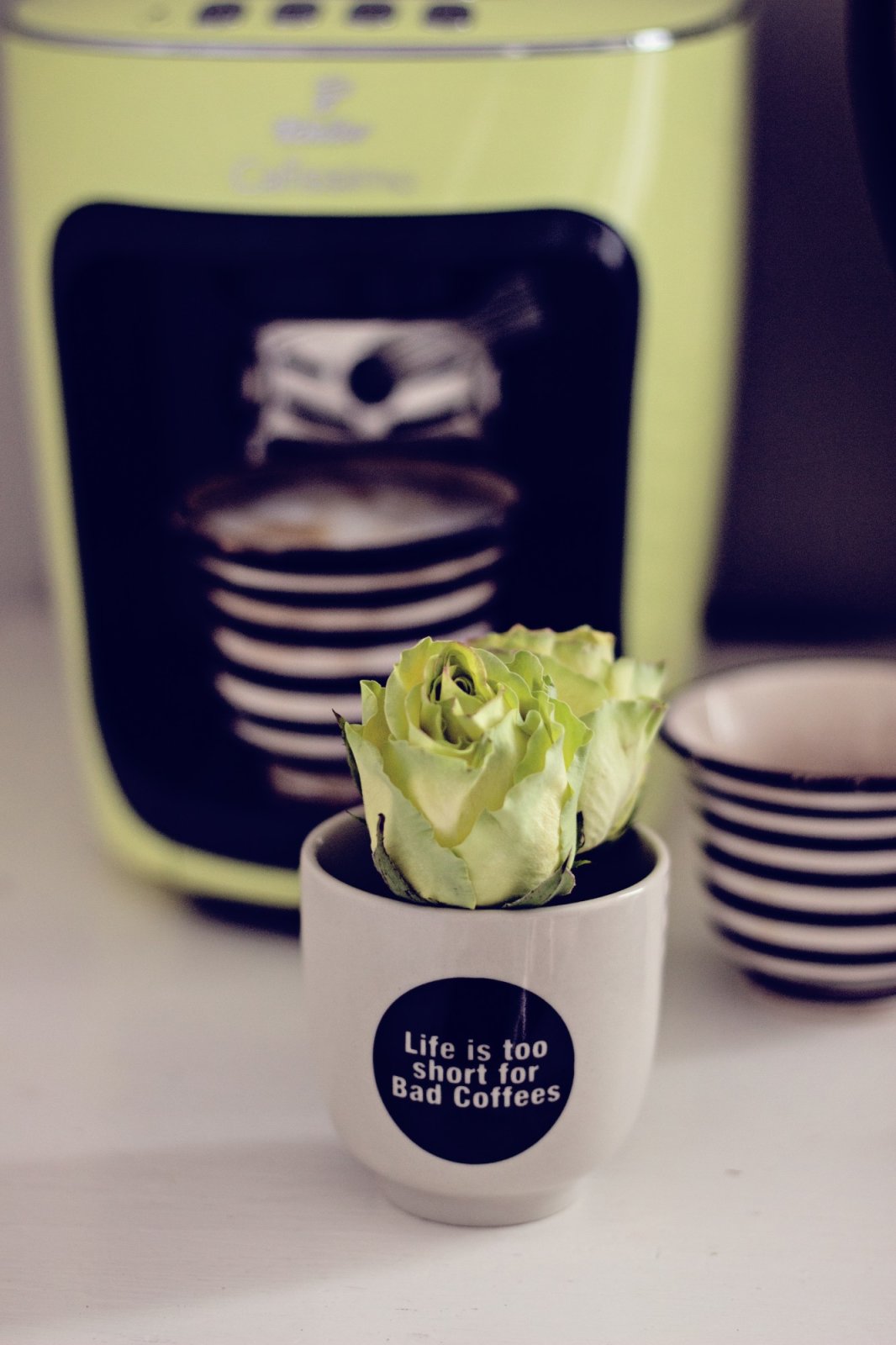 Blume, Pflanze, Rose, Blütenblatt, Becher, Töpferei, Essen