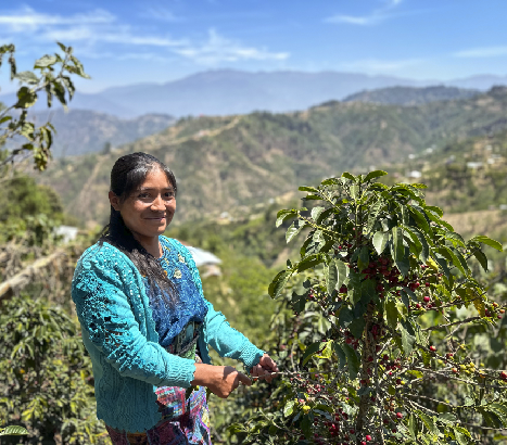 Erwachsener, Weiblich, Person, Frau, Essen, Obst, Pflanze, Produzieren, Natur, Draußen