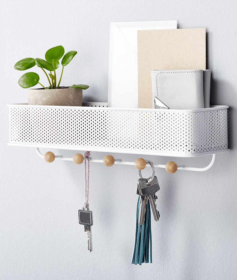 Pflanze, Topfpflanze, Ablage