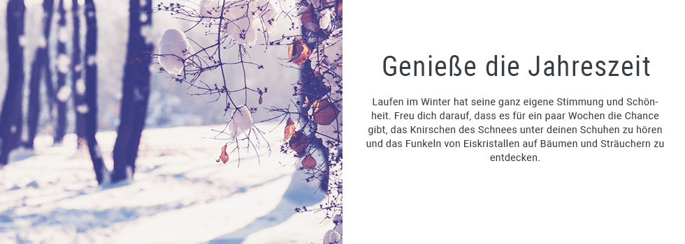 Pflanze, Baum, Pflanzenwuchs, Hain, Land, Natur, Draußen, Waldland, Baumstamm, Eis