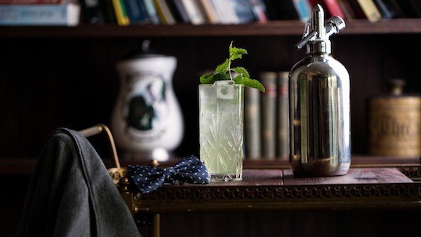 Pflanze, Zubehor, Formelle Kleidung, Krawatte, Flasche, Kosmetik, Parfum, Alkohol, Getränk, Cocktail