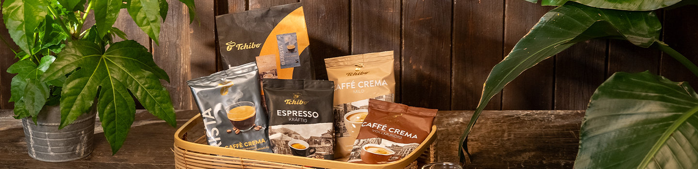 Pflanze, Topfpflanze