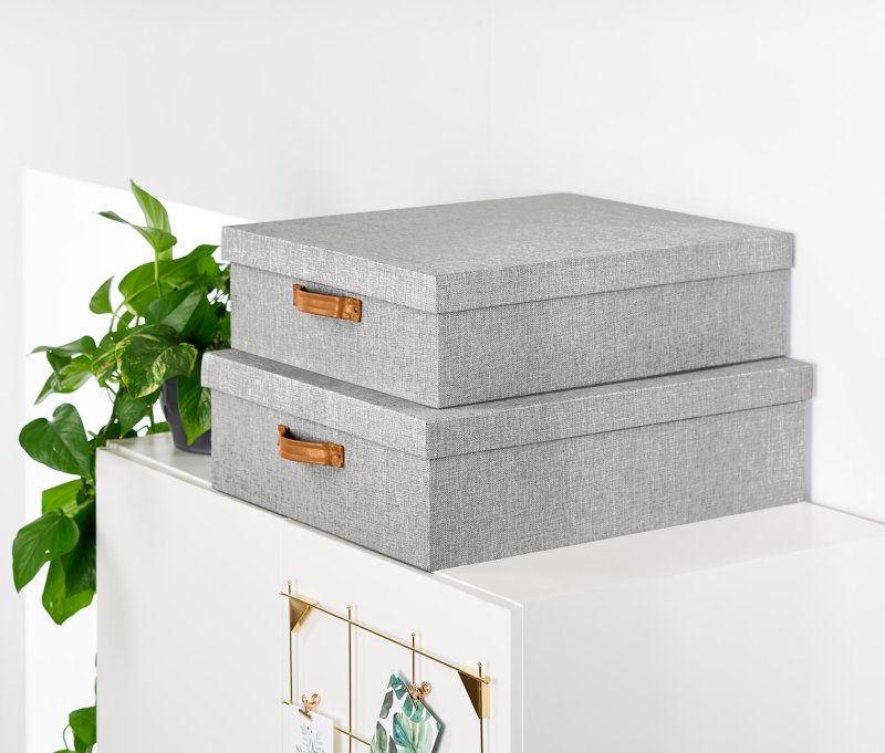 Pflanze, Topfpflanze, Moebel, Kiste, Krug, Schublade, Blatt, Töpferei