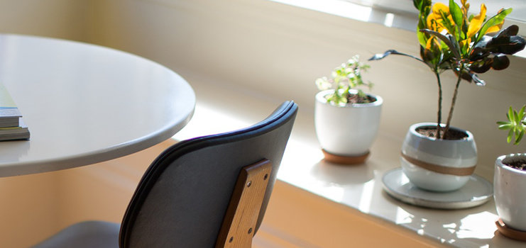 Pflanze, Topfpflanze, Moebel, Tabelle, Blume, Blumen-Arrangement, Esstisch, Stuhl, Tischplatte, Töpferei