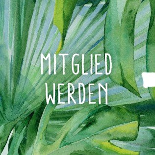 Blatt, Pflanze, Pflanzenwuchs, Dschungel, Natur, Draußen