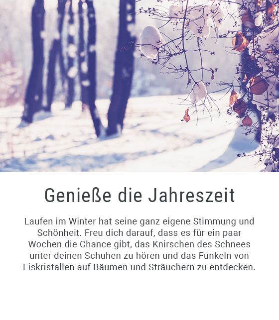 Pflanze, Pflanzenwuchs, Baum, Draußen, Natur, Werbung, Plakat, Land, Waldland, Winter